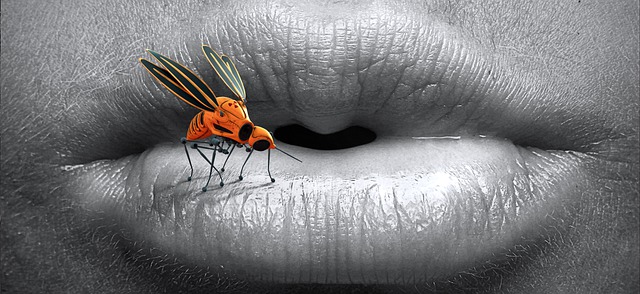 Κουνούπια: Πως να τα αποφύγετε
