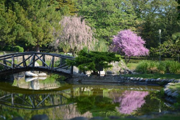 Στην Νάουσα ο πρώτος ελληνικός αναγνωρισμένος ιστορικός κήπος.