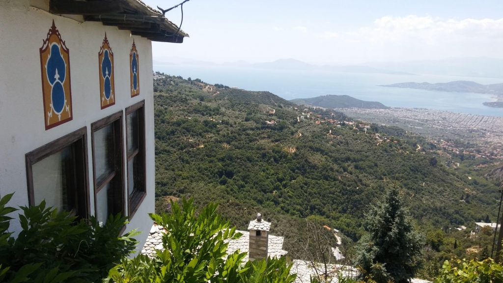 Πήλιο: Πήγε να πιει φυτοφάρμακο για να… μην κολλήσει πάλι κοροναϊό