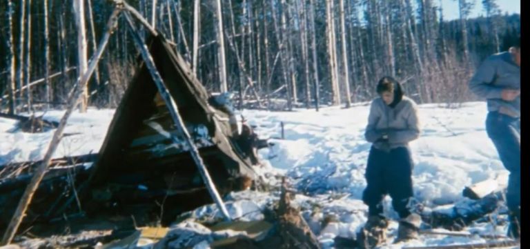 Ζευγάρι επιβίωσε 49 ημέρες σε πολική θερμοκρασία μετά την πτώση του αεροπλάνου τους