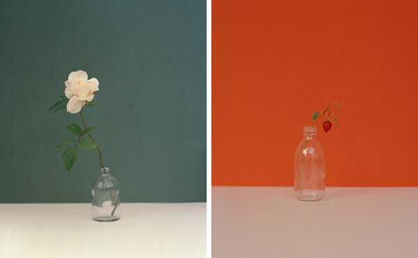 Kate Friend: Φωτογραφίζοντας τα Λουλούδια των Ανθρώπων