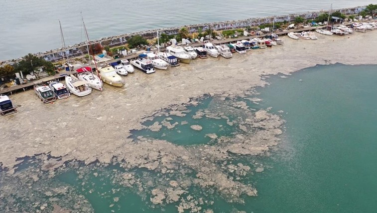 Τουρκία: Πάνω από 4 εκατ. λίτρα βλέννας «καθάρισαν» οι αρχές στη Θάλασσα του Μαρμαρά