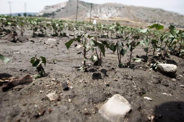 Θεσσαλία: Νέα αγροτική κινητοποίηση για τις αποζημιώσεις