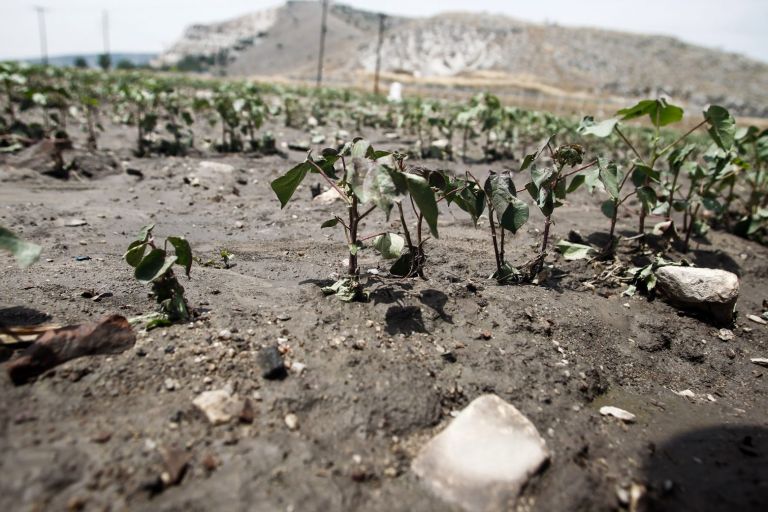 Θεσσαλία: Νέα αγροτική κινητοποίηση για τις αποζημιώσεις