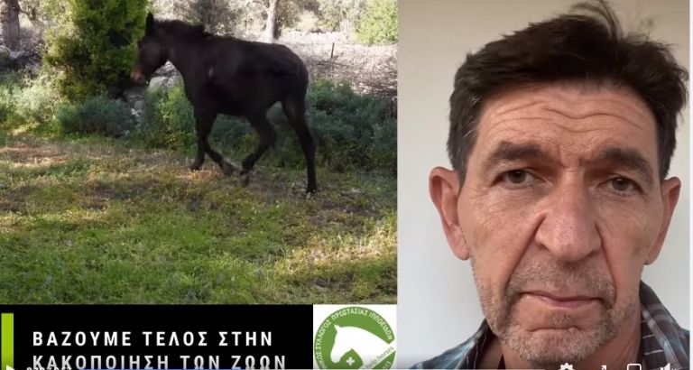 Ο Γεράσιμος Σκιαδαρέσης ξεσπά για τις χειρότερες μορφές κακοποίησης στα ιπποειδή