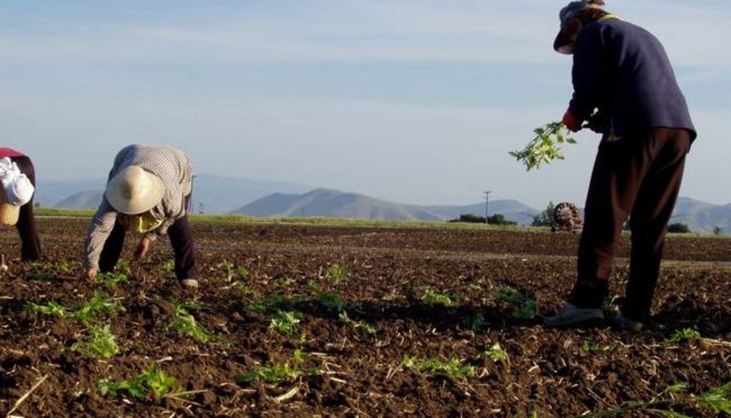 Η σημασία της αγροτικής παραγωγής για την ανάπτυξη