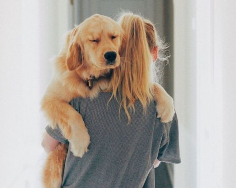 Τελικά πόσο αθώα είναι η αγκαλιά στα σκυλιά μας;