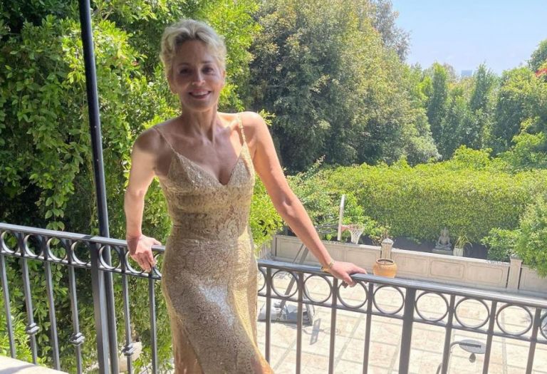 Σάρον Στόουν: Ποζάρει με μπλουζάκι από το «Βασικό Ένστικτο» και μοιράζει εγκεφαλικά