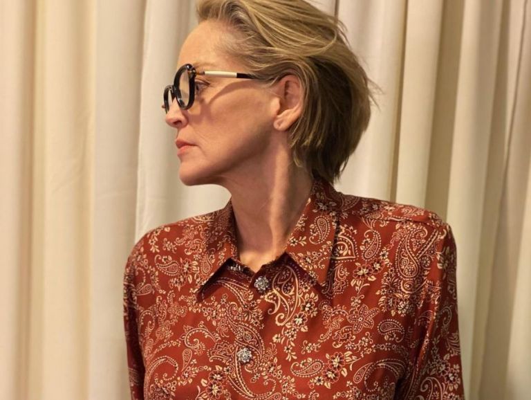 Σάρον Στόουν: Φορά το μπικίνι της και οι ακόλουθοί της οργιάζουν