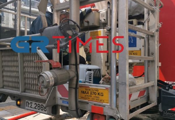 %CE%B3%CE%B1%CF%84%CE%B1 %CF%86%CF%89%CF%84%CE%B9%CE%B1 | Lamianow.gr