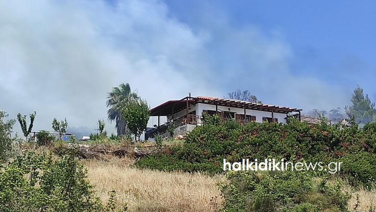 Χαλκιδική: Απειλήθηκε σπίτι από τις φλόγες στη Νικήτη