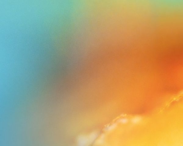 «Seeing the Invisible»: Έργα διευρυμένης πραγματικότητας σε βοτανικούς κήπους σε όλον τον κόσμο