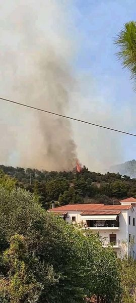 Μεγάλη φωτιά στην Εύβοια, απειλούνται σπίτια – Πυρκαγιά και στην Επίδαυρο