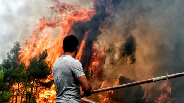 Μάτι: Αποκλειστικά στο in.gr μια εργασία για τα αίτια της τραγωδίας