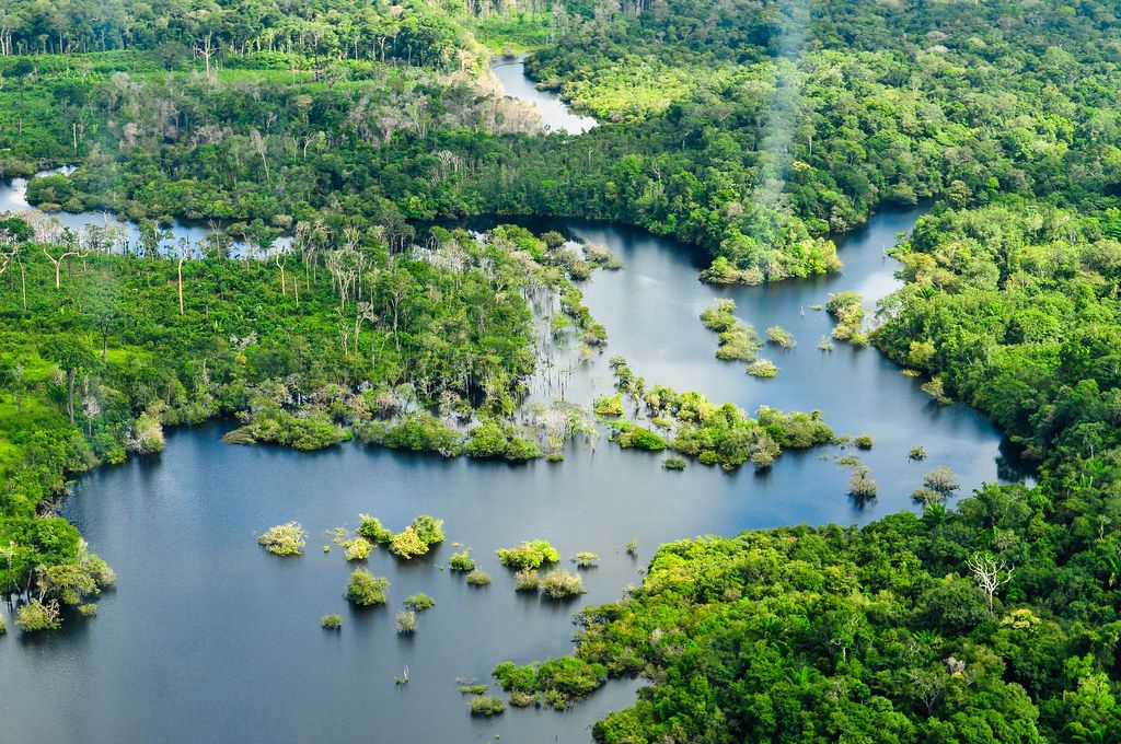Αμαζόνιος: Τουλάχιστον 10.000 είδη απειλούνται με εξαφάνιση, προειδοποιεί μεγάλη μελέτη