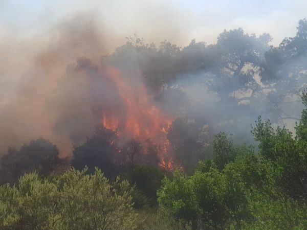 Πολιτική Προστασία: Πολύ υψηλός κίνδυνος πυρκαγιάς την Κυριακή – Ποιες περιοχές μπήκαν στην κατηγορία 4