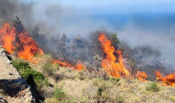 Πολύ υψηλός ο κίνδυνος πυρκαγιάς την Τετάρτη – Δείτε πού