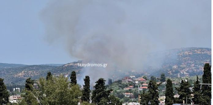 Φωτιά στο Βόλο – Μεγάλη κινητοποίηση της πυροσβεστικής