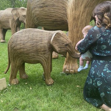 Αγέλες «ελεφάντων» στα πάρκα του Λονδίνου, για ένα πρόγραμμα προστασίας της φύσης
