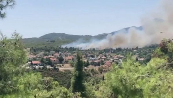 Φωτιά στην Σταμάτα Αττικής: Μάχη να μην φτάσουν οι φλόγες στα σπίτια