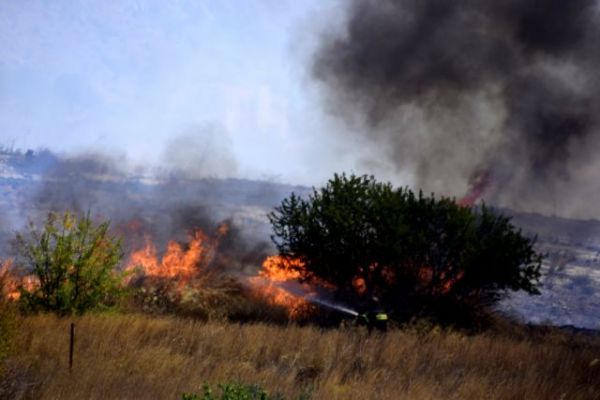 Φωτιά τώρα στη Χασιά