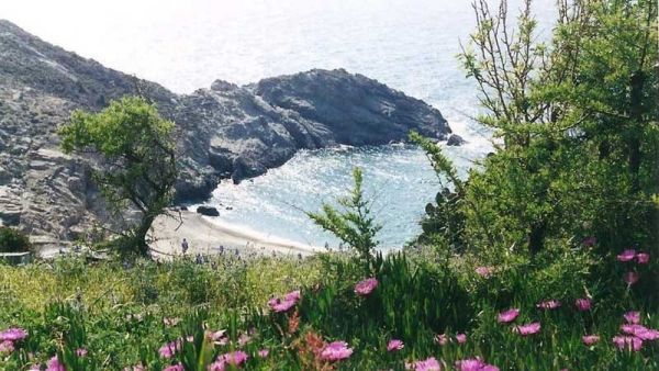 Δεν γίνεται να μην φάτε σε αυτές τις τρεις ικαριώτικες ταβέρνες