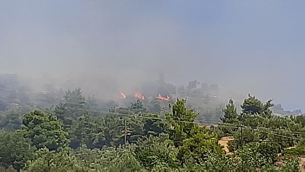 Εύβοια: Συναγερμός για πυρκαγιά στη Ριτσώνα