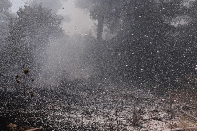 Φωτιά στη Σταμάτα: Επικίνδυνες οι επόμενες ώρες σύμφωνα με το meteo – Ενισχύονται οι άνεμοι