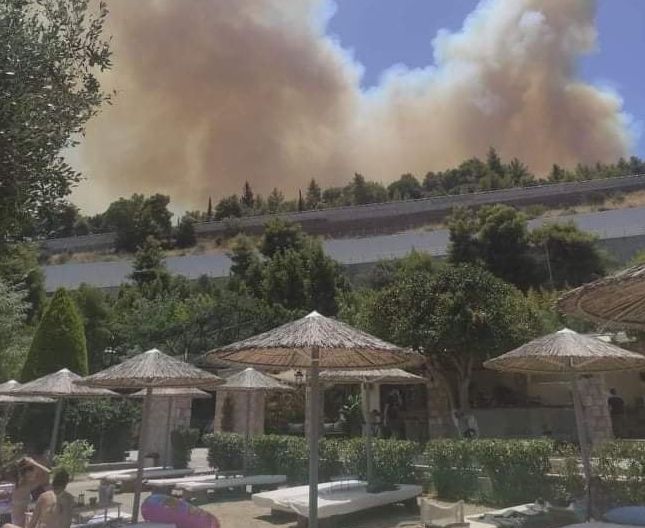 Συναγερμός για τη φωτιά στην Αχαΐα – Οδηγοί προσπαθούν να φύγουν από τις παραλίες