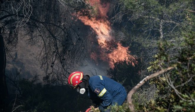 Μεγάλη φωτιά στη Χαλκιδική – Ενισχύονται οι δυνάμεις της Πυροσβεστικής