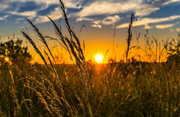 ΥπΑΑΤ: Κερδισμένη από τη νέα ΚΑΠ η Ελλάδα