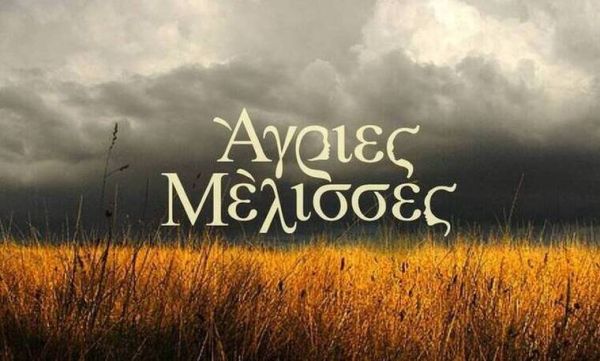 Άγριες Μέλισσες: Όταν πήρα στα χέρια μου τα σενάρια, ούρλιαξα