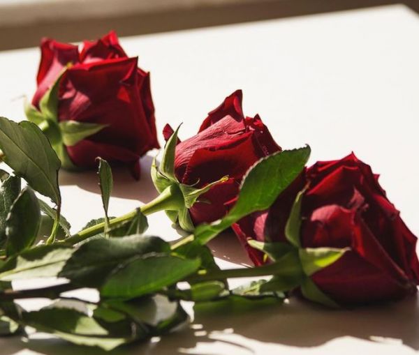 Αλέξης Παππάς: Η πρώτη φωτογραφία του επόμενου The Bachelor