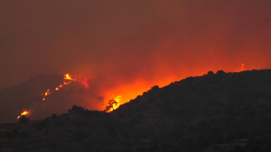 Φωτιά στην Κύπρο: Ολονύχτια μάχη με τις φλόγες - Τεράστια καταστροφή