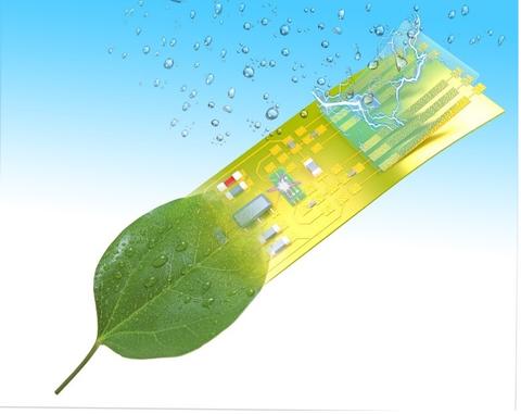 Έξυπνες μικροσυσκευές από «καλώδια» βακτηρίων