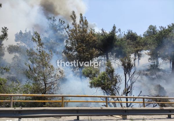 Θεσσαλονίκη: Συναγερμός για φωτιά στο Σέιχ Σου – Μεγάλη κινητοποίηση της πυροσβεστικής