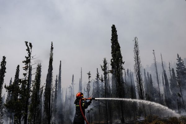 Ναύπλιο: Καλή η εικόνα από το πύρινο μέτωπο