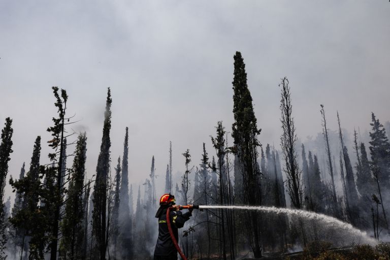 Ναύπλιο: Καλή η εικόνα από το πύρινο μέτωπο
