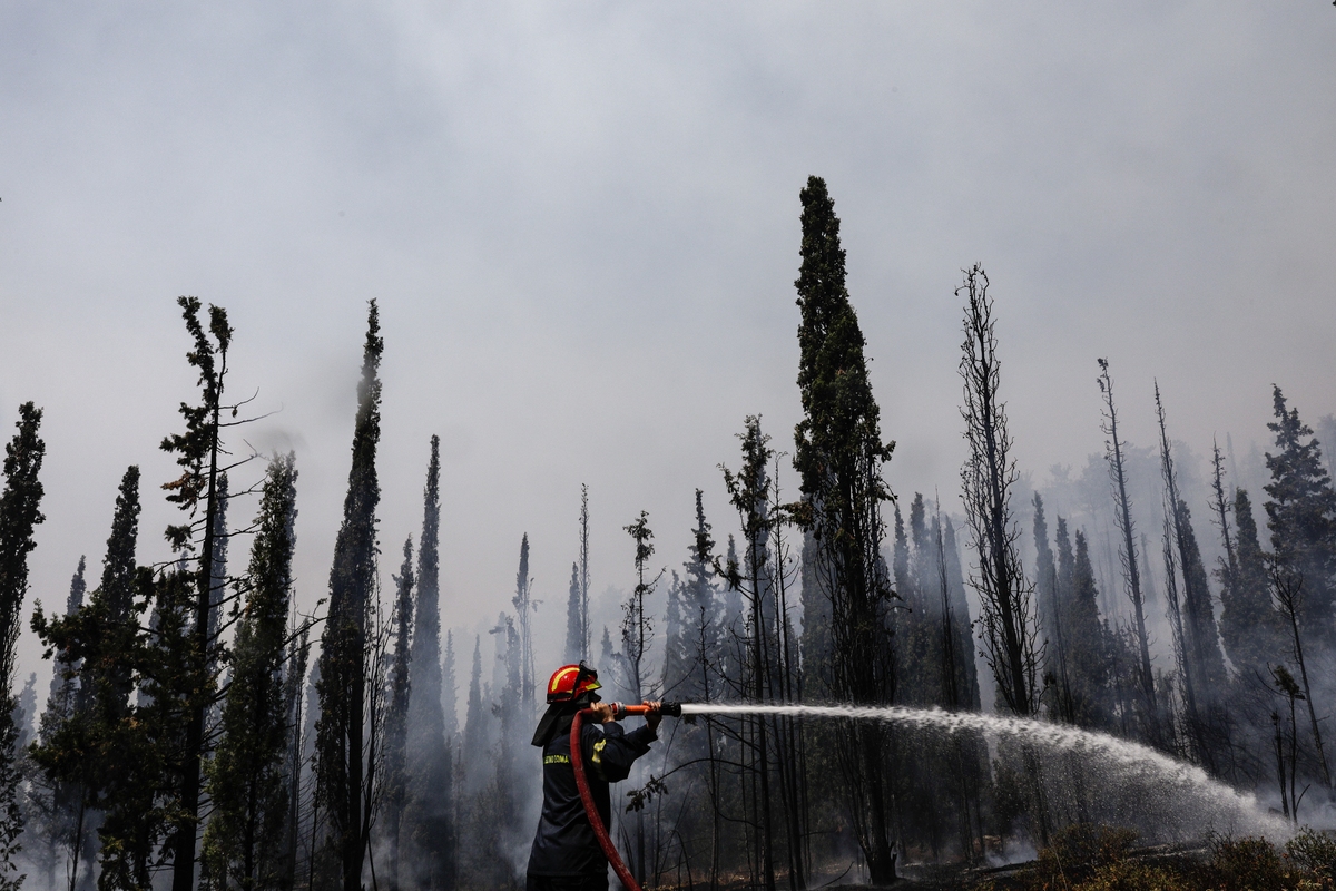 Ναύπλιο: Καλή η εικόνα από το πύρινο μέτωπο
