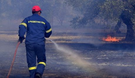 Πυρκαγιές: Μεγάλος ο κίνδυνος για φωτιά σήμερα - Ποιες περιοχές είναι στην κατηγορία 4
