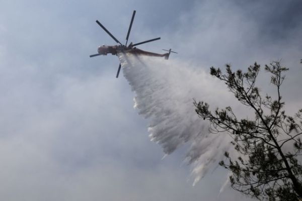 Φωτιά στον Άγιο Κωνσταντίνο Δελφών – Επιχειρούν ισχυρές δυνάμεις