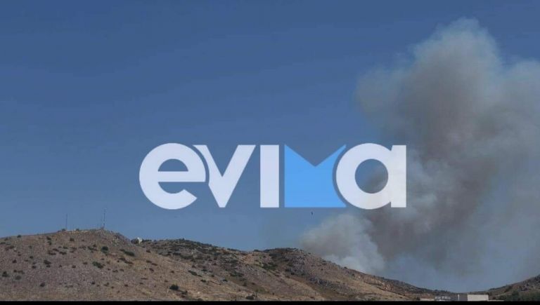 Χαλκίδα: Φωτιά κοντά σε κατοικημένη περιοχή – Συναγερμός στην πυροσβεστική