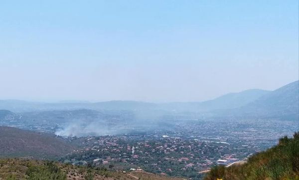 Παλλήνη: Φωτιά στον Λόφο – Επιχειρούν ισχυρές δυνάμεις της Πυροσβεστικής
