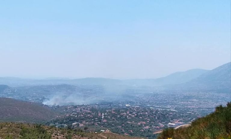 Παλλήνη: Φωτιά στον Λόφο – Επιχειρούν ισχυρές δυνάμεις της Πυροσβεστικής