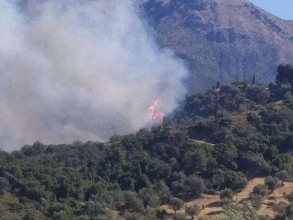 Φωτιά σε δασική έκταση στο Κάτω Μαυρίκι Αχαΐας