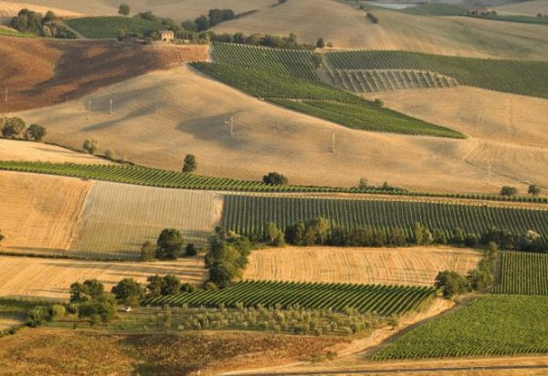 Κέντρο ικανοτήτων για την ευφυή γεωργία και τις νέες τεχνολογίες