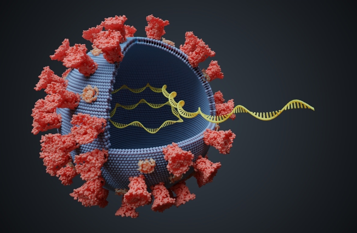 Στέλεχος Έψιλον: Νέα παραλλαγή του κοροναϊού με πιθανή ανθεκτικότητα στα εμβόλια