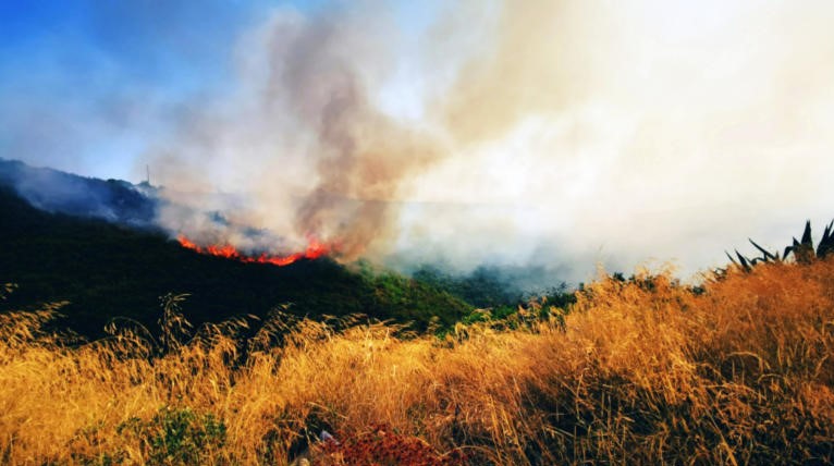 ΓΓΠΠ: Πολύ υψηλός κίνδυνος πυρκαγιάς την Πέμπτη - Προσοχή σε 5 Περιφέρειες