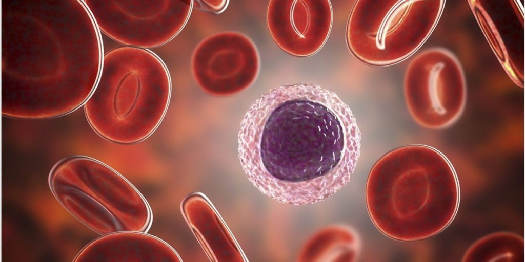 Κοροναϊός και Τ λεμφοκύτταρα επιτίθενται στους πνεύμονες