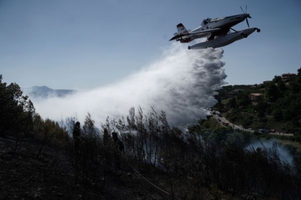 Μαγνησία: Φωτιά στον Αλμυρό – Στη μάχη εναέρια μέσα